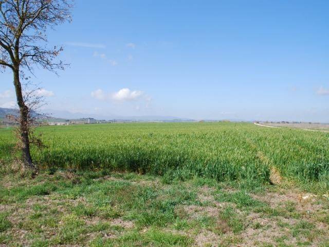 Rustico / casale a Panicale in Via Castiglionese, 12 - Foto 4