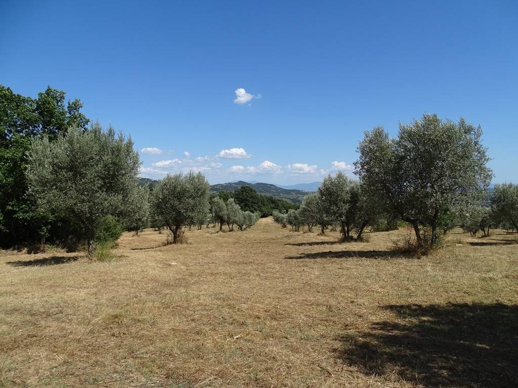 Terreno a Roccastrada in Strada Provinciale Roccastrada - Foto 3