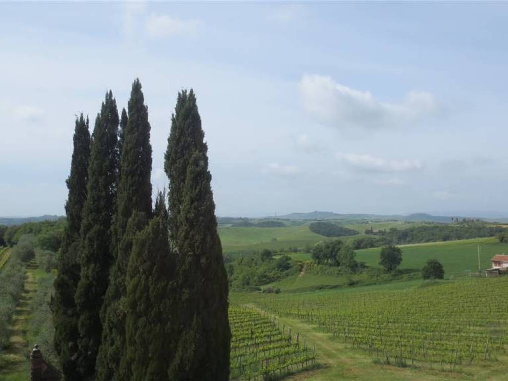 Villa a Castelnuovo berardenga - Foto 5