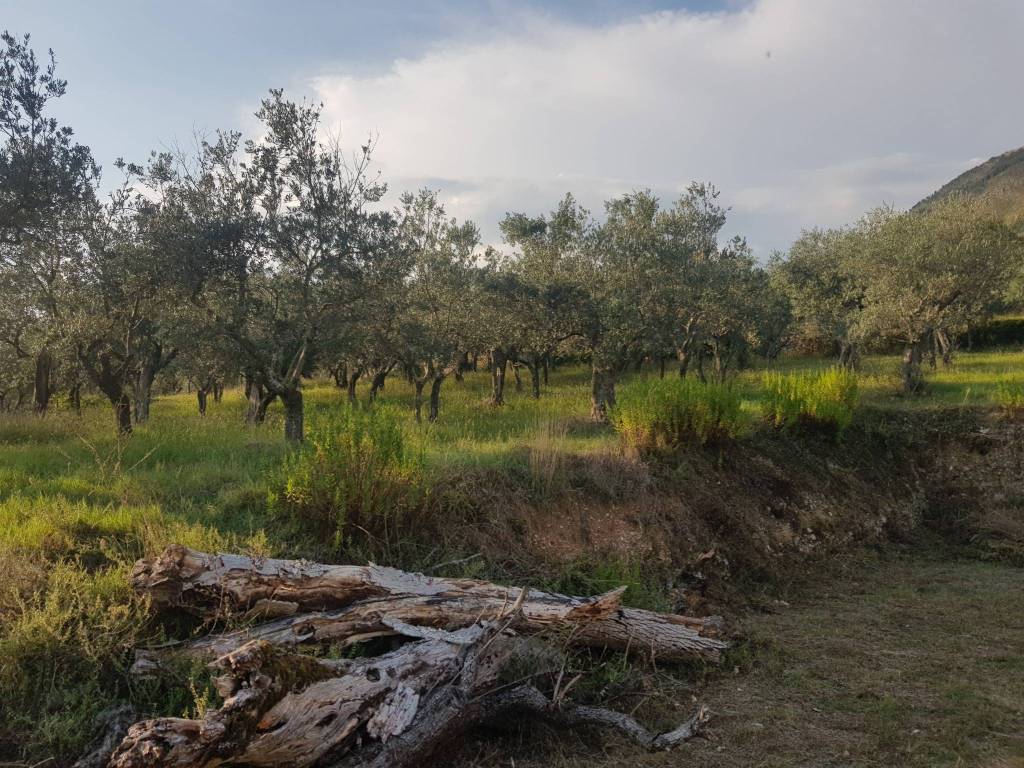 Rustico / casale a Cervaro in Via Piternis - Foto 3