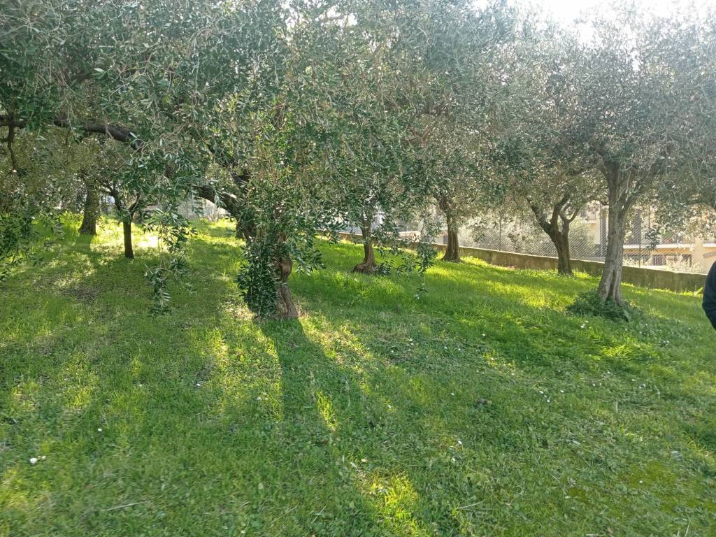 Terreno a Potenza picena in Via del Mare - Foto 2