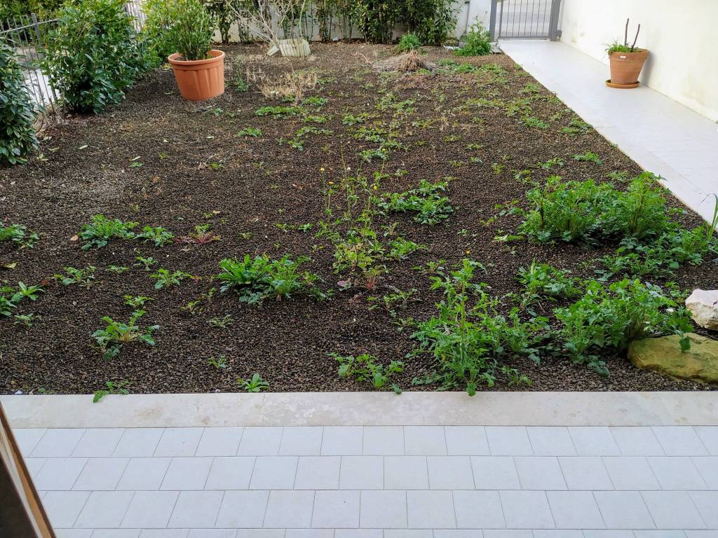 Villa a Amelia in Strada di Santa Maria - Foto 3