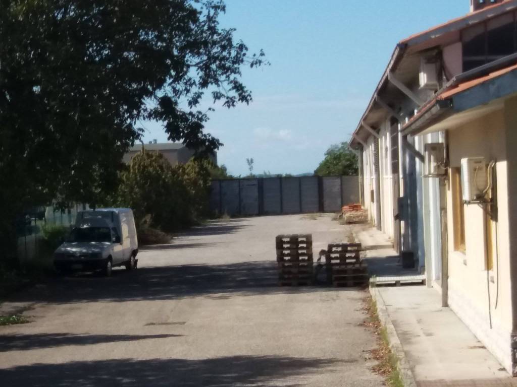 Immobile a Trieste in Frazione Stazione Proseccoostaja - Foto 3