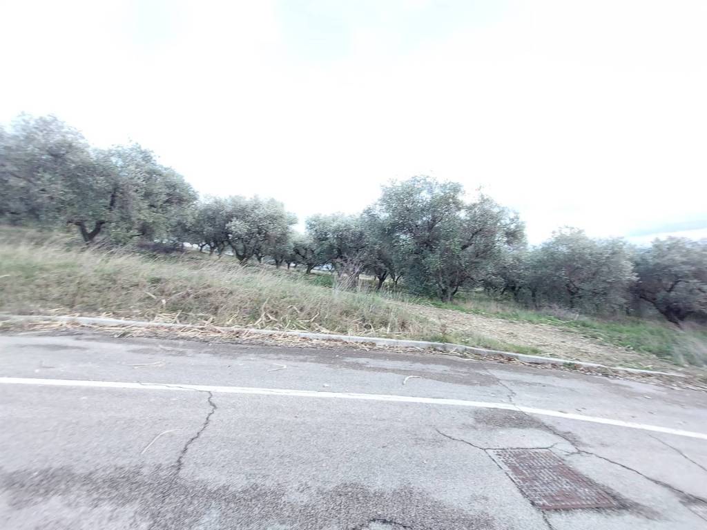 Terreno a Castel frentano - Foto 3