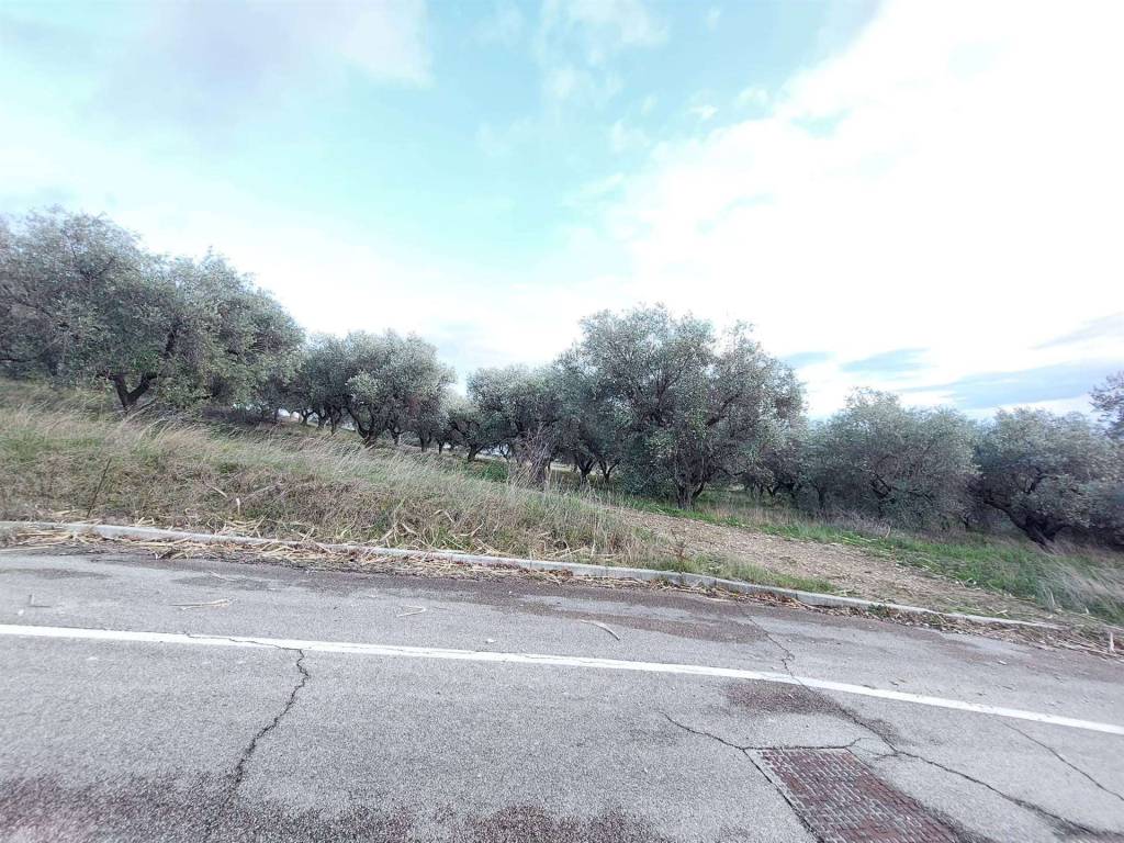 Terreno a Castel frentano - Foto 4