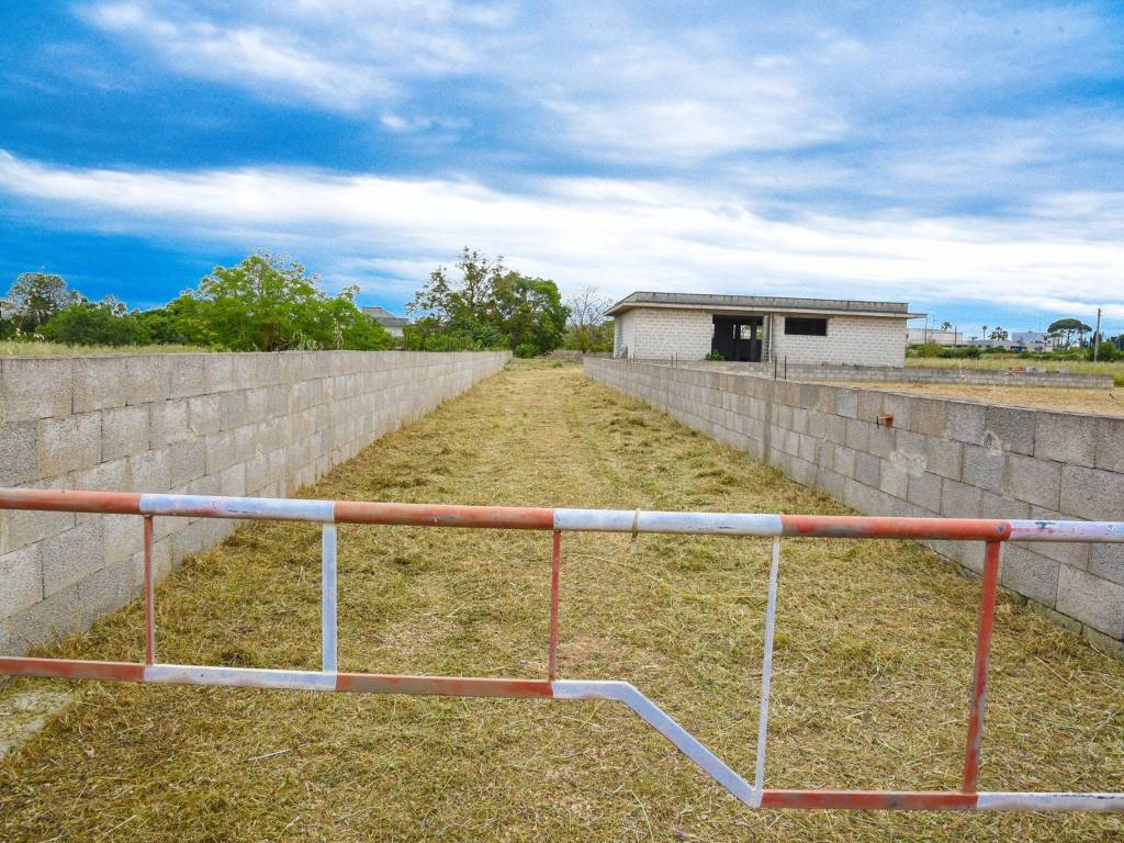 Rustico / casale a Carpignano salentino in Via San Pasquale, 16 - Foto 3