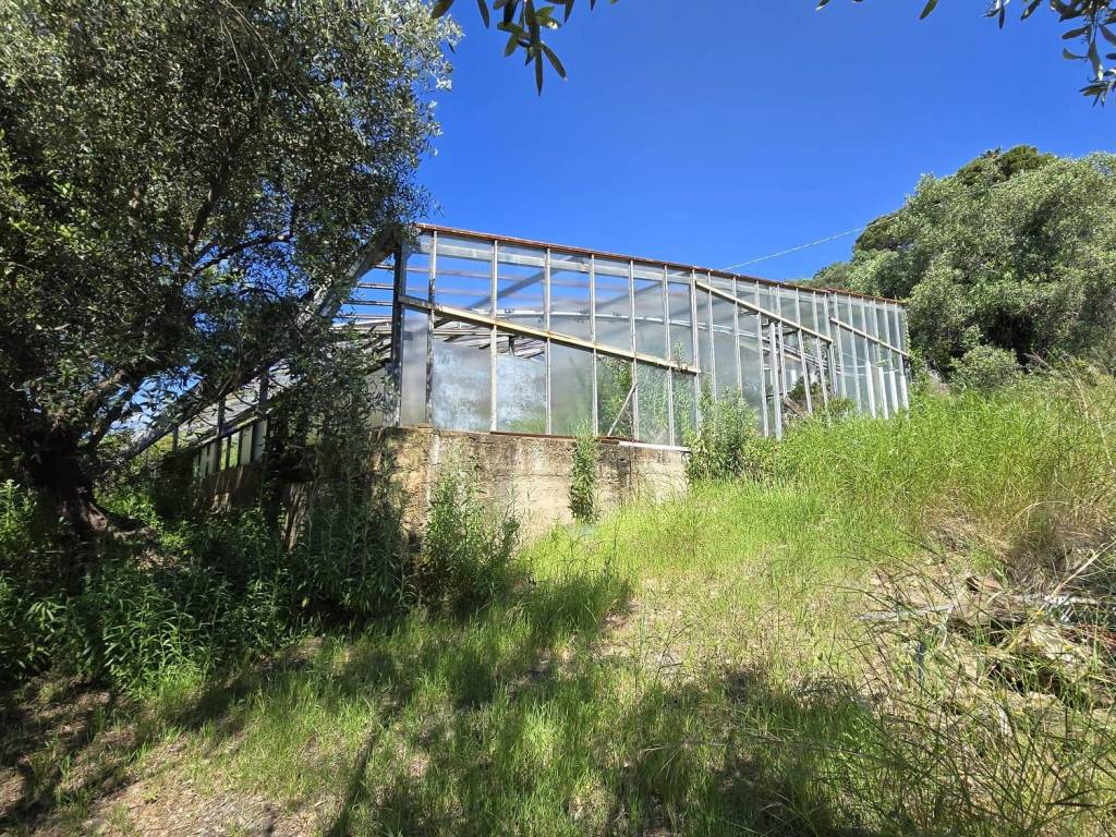 Terreno a Cipressa in Regione Ronchi - Foto 2