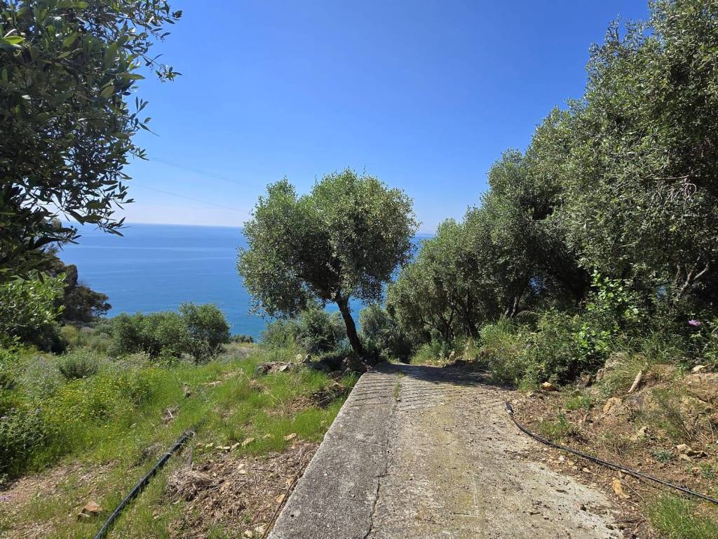 Terreno a Cipressa in Regione Ronchi - Foto 3