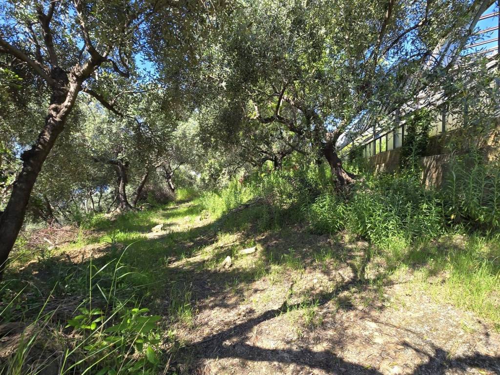 Terreno a Cipressa in Regione Ronchi - Foto 4