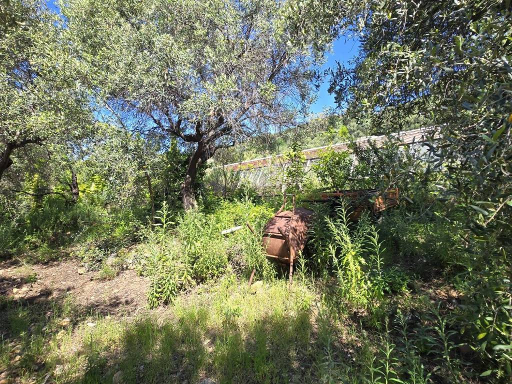 Terreno a Cipressa in Regione Ronchi - Foto 5