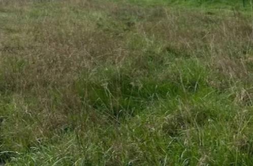Terreno a Pellezzano - Foto 2