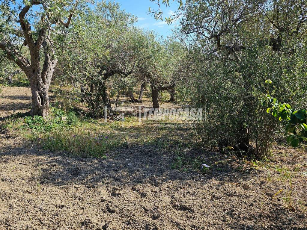 Terreno a Messina - Foto 2