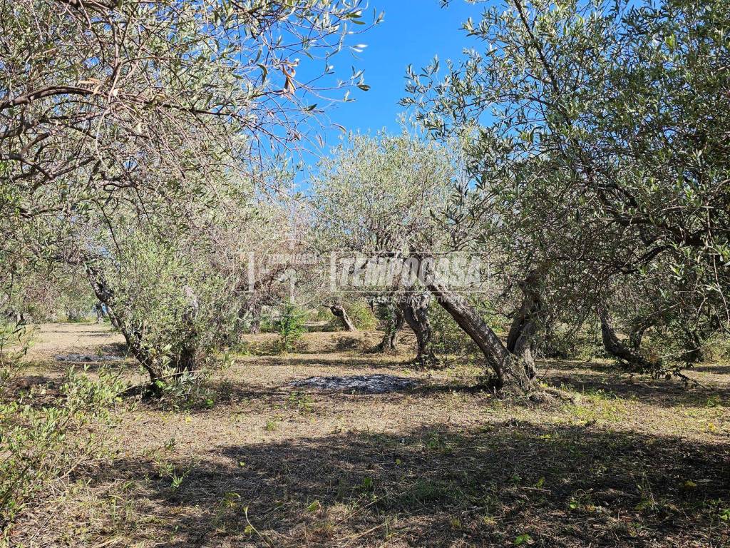 Terreno a Messina - Foto 3