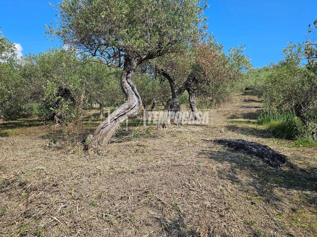 Terreno a Messina - Foto 4