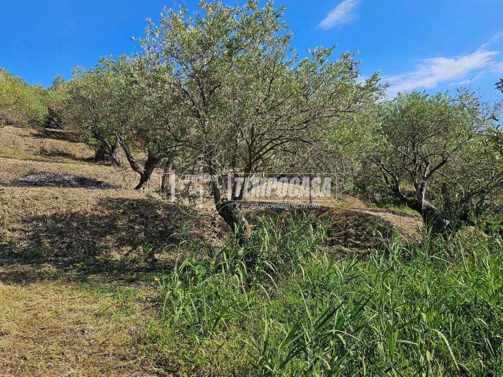 Terreno a Messina - Foto 5