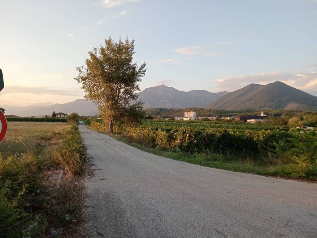 Terreno a San salvatore telesino in Zona Industriale Selva di Sotto - Foto 4