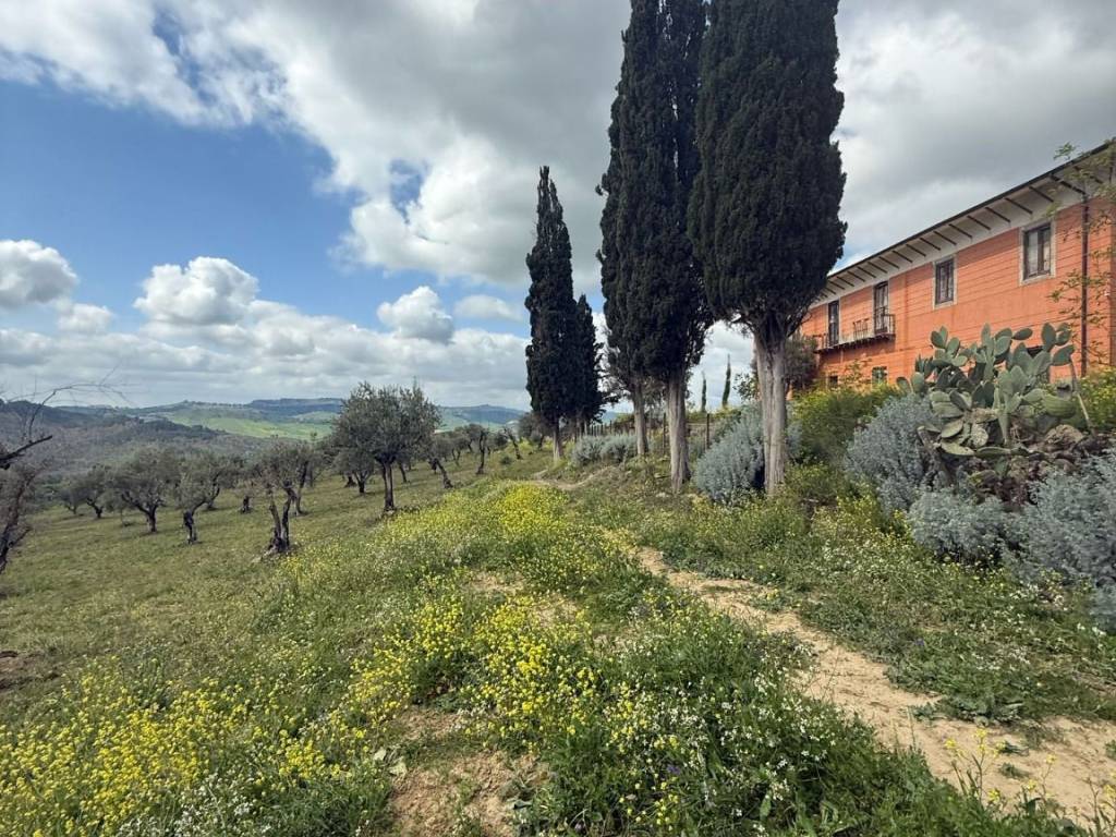Terreno a Santa caterina villarmosa in TUROLIFI - Foto 5