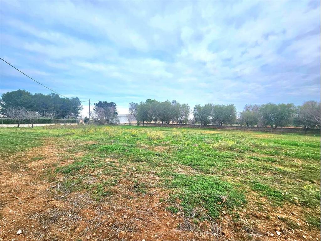 Terreno a Carovigno - Foto 2