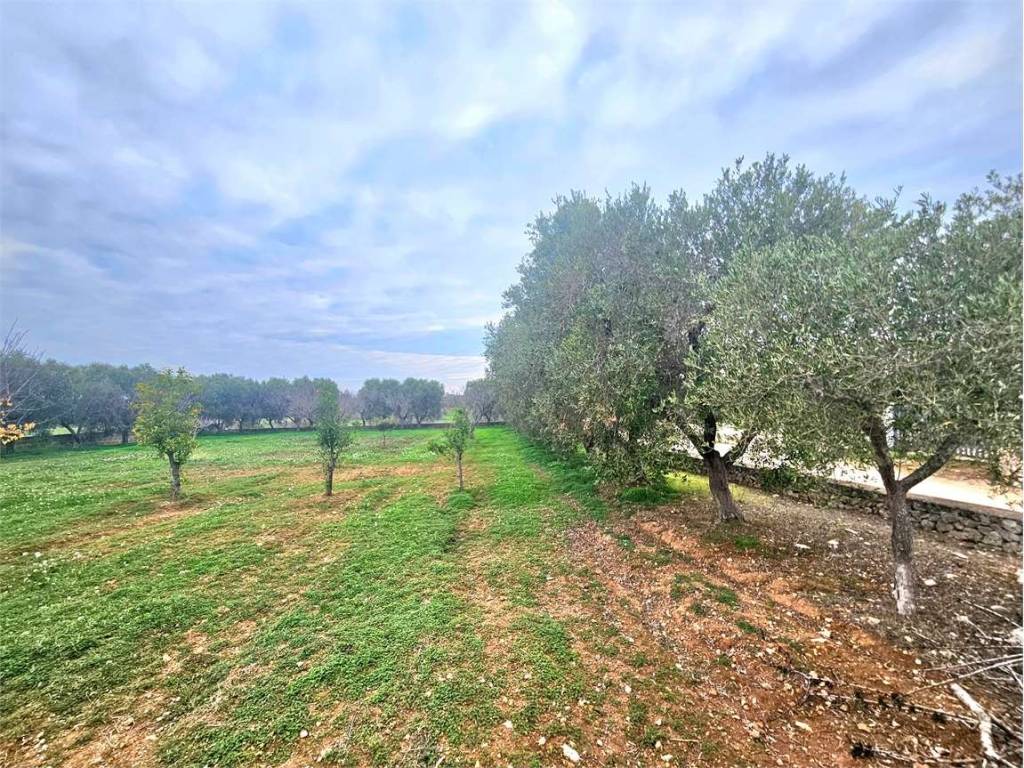 Terreno a Carovigno - Foto 5