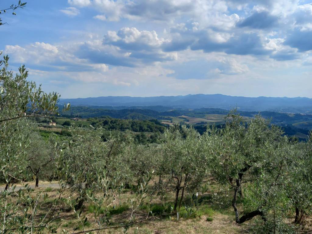 Terreno a Loro ciuffenna in Strada Comunale di Querceto - Foto 2