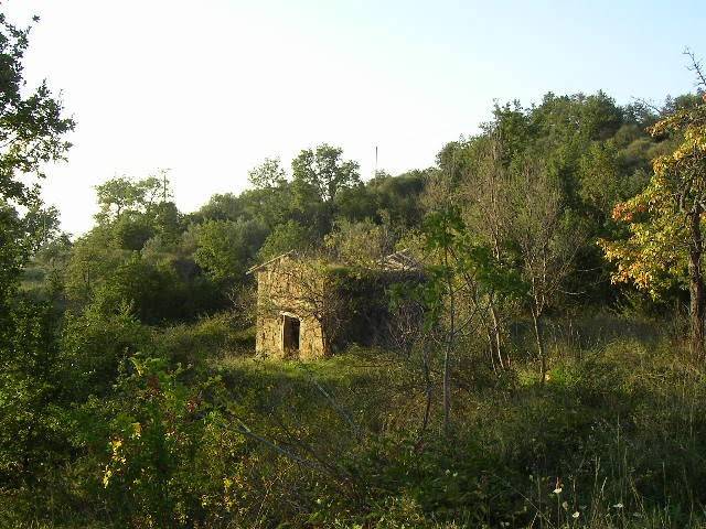 Terreno a Loro ciuffenna in Strada Comunale di Querceto - Foto 4