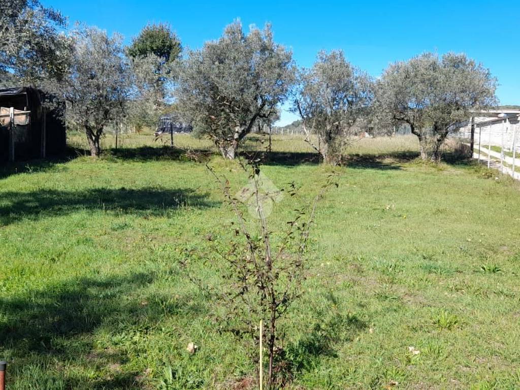 Casa indipendente a Alatri in Via Colle Seritico - Foto 4