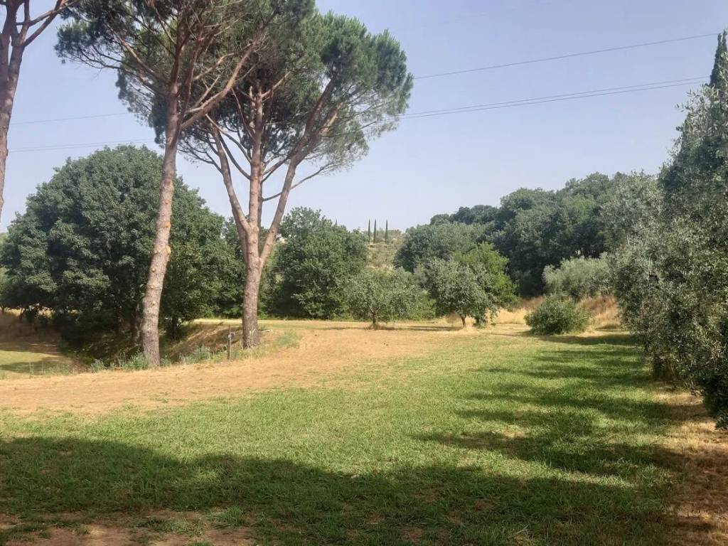 Terreno a Monsummano terme in Via delle Pietraie, 293 - Foto 5