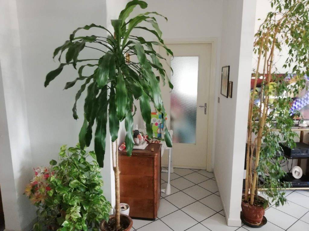 Appartamento a Asti in Via Duca degli Abruzzi - Foto 4
