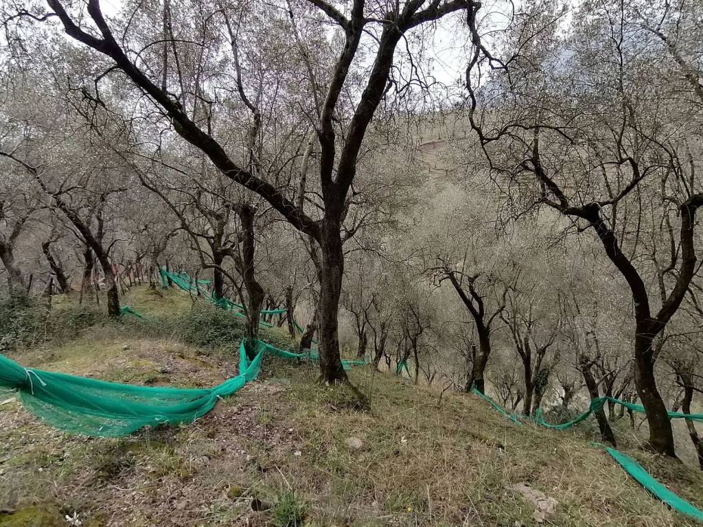 Terreno a Giffoni sei casali in Sieti - Foto 2