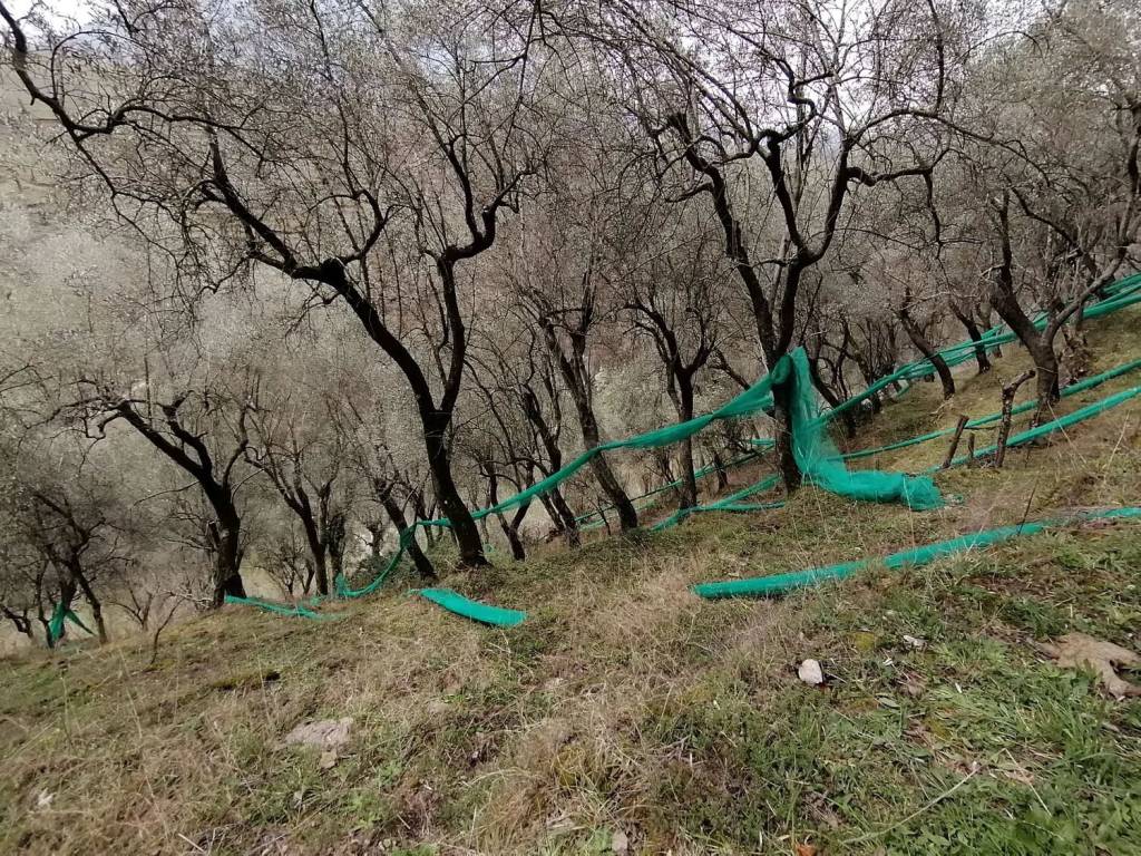 Terreno a Giffoni sei casali in Sieti - Foto 3