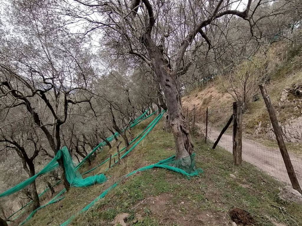 Terreno a Giffoni sei casali in Sieti - Foto 4