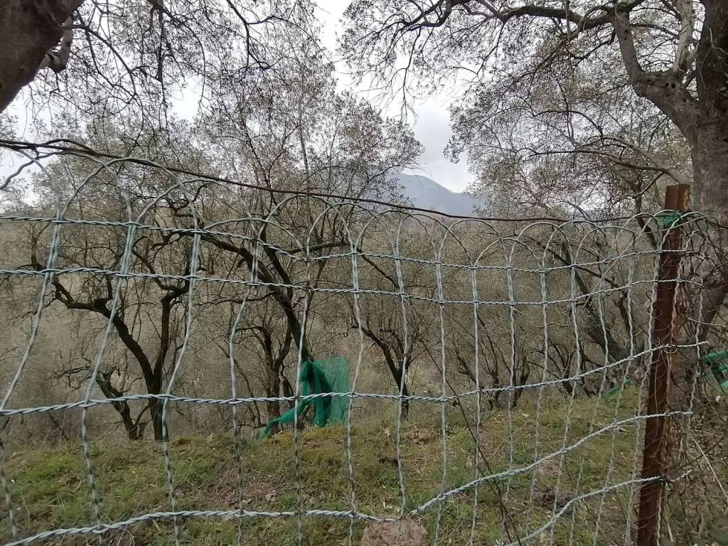 Terreno a Giffoni sei casali in Sieti - Foto 5