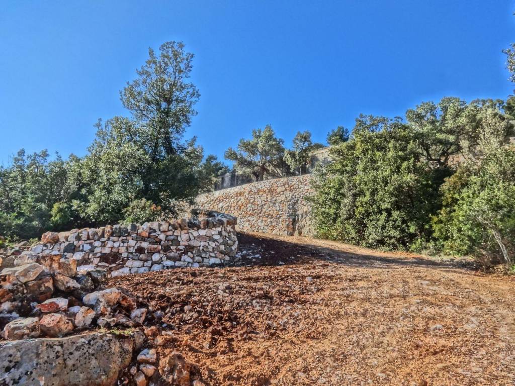 Rustico / casale a Fasano in Strada SS172dir, 4 - Foto 5