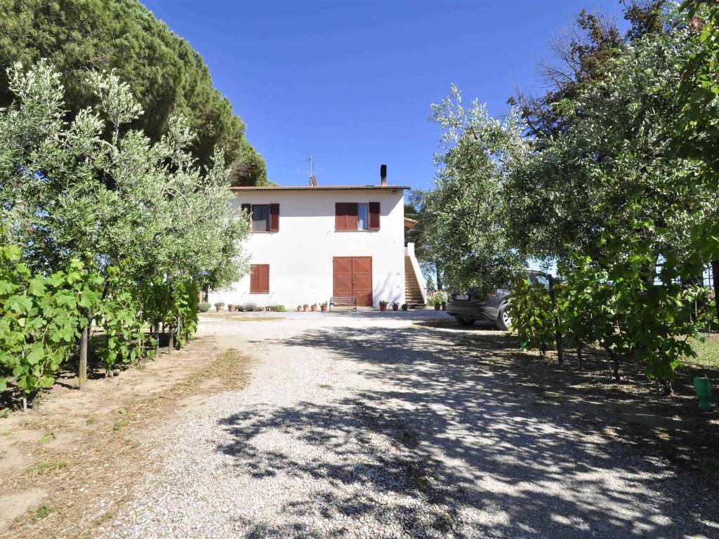 Rustico / casale a Campiglia marittima - Foto 3