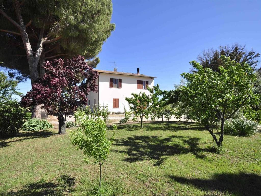 Rustico / casale a Campiglia marittima - Foto 4