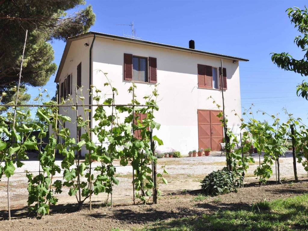 Rustico / casale a Campiglia marittima - Foto 5