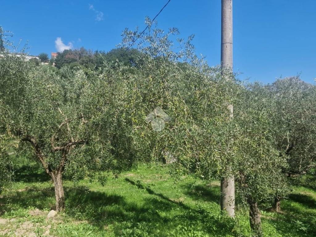 Casa indipendente a Vitulano in Via ficarola - Foto 5