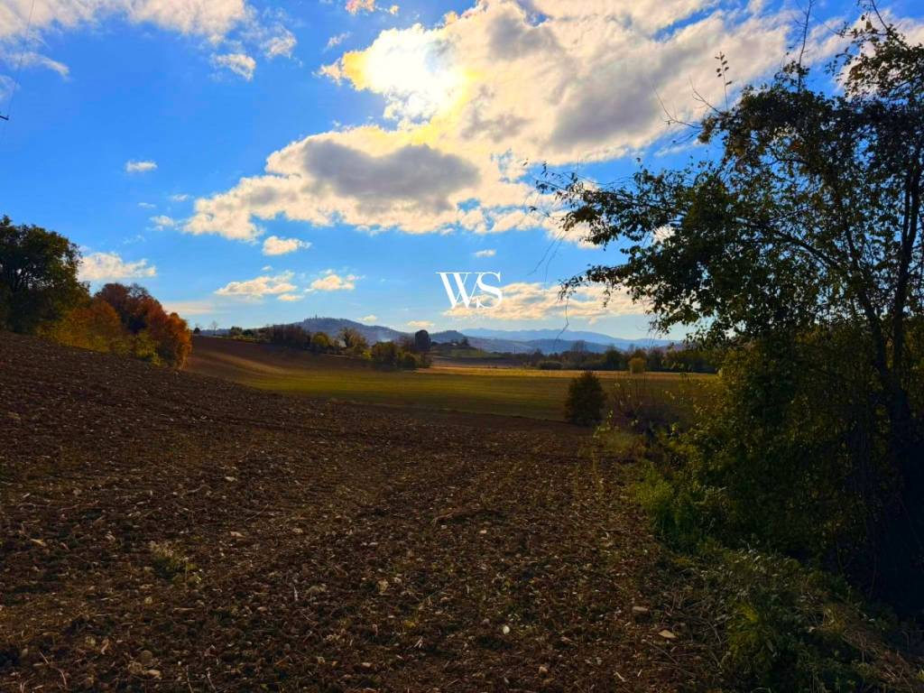 Rustico / casale a Todi - Foto 4