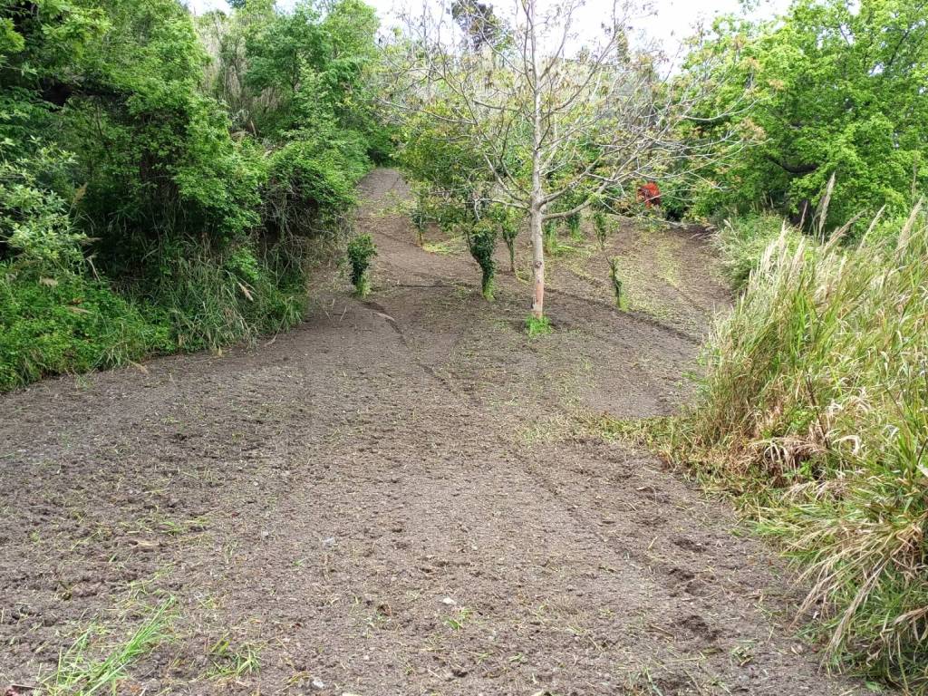 Terreno a San pietro in amantea in Località Sant'Elia - Foto 3