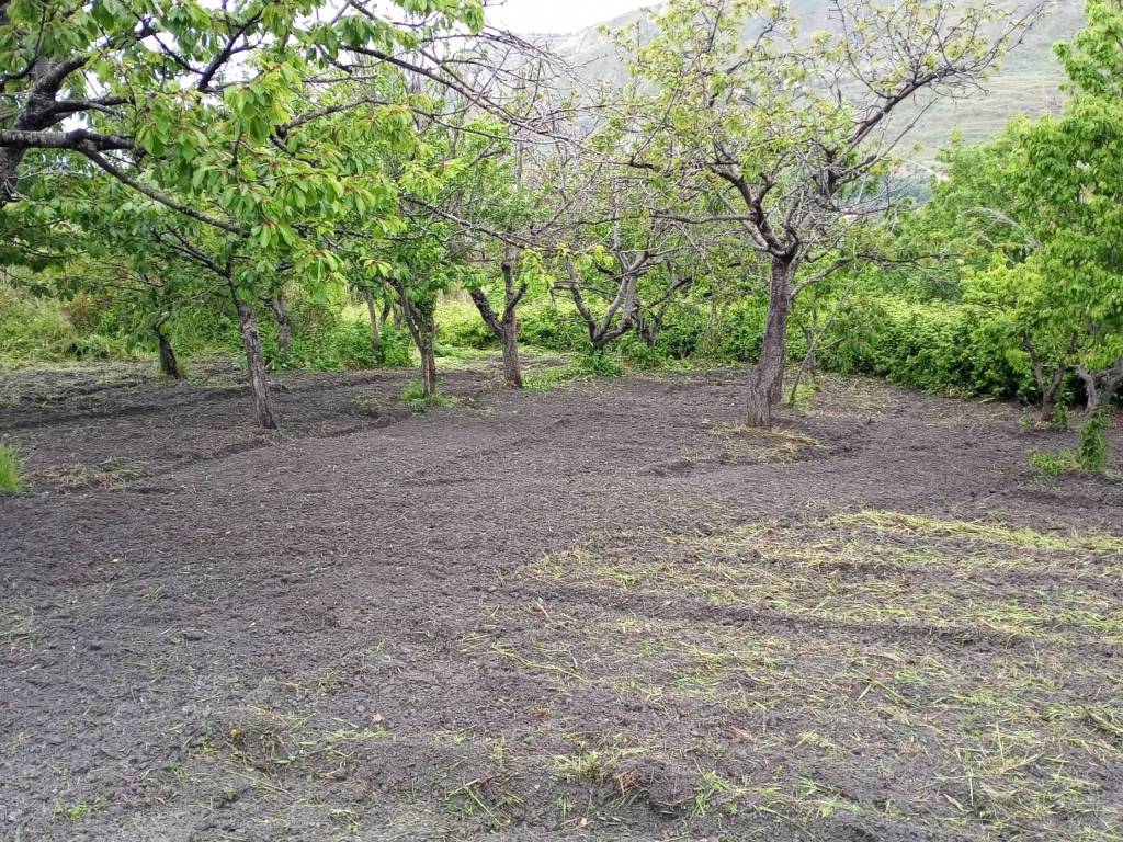 Terreno a San pietro in amantea in Località Sant'Elia - Foto 4