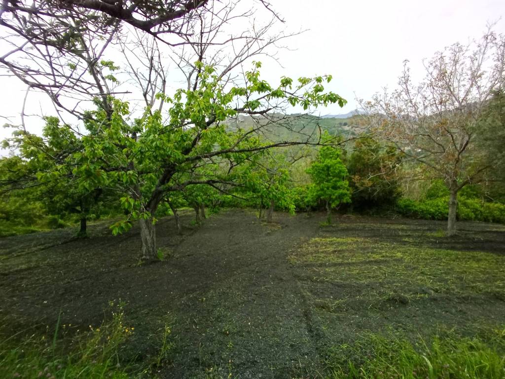 Terreno a San pietro in amantea in Località Sant'Elia - Foto 5