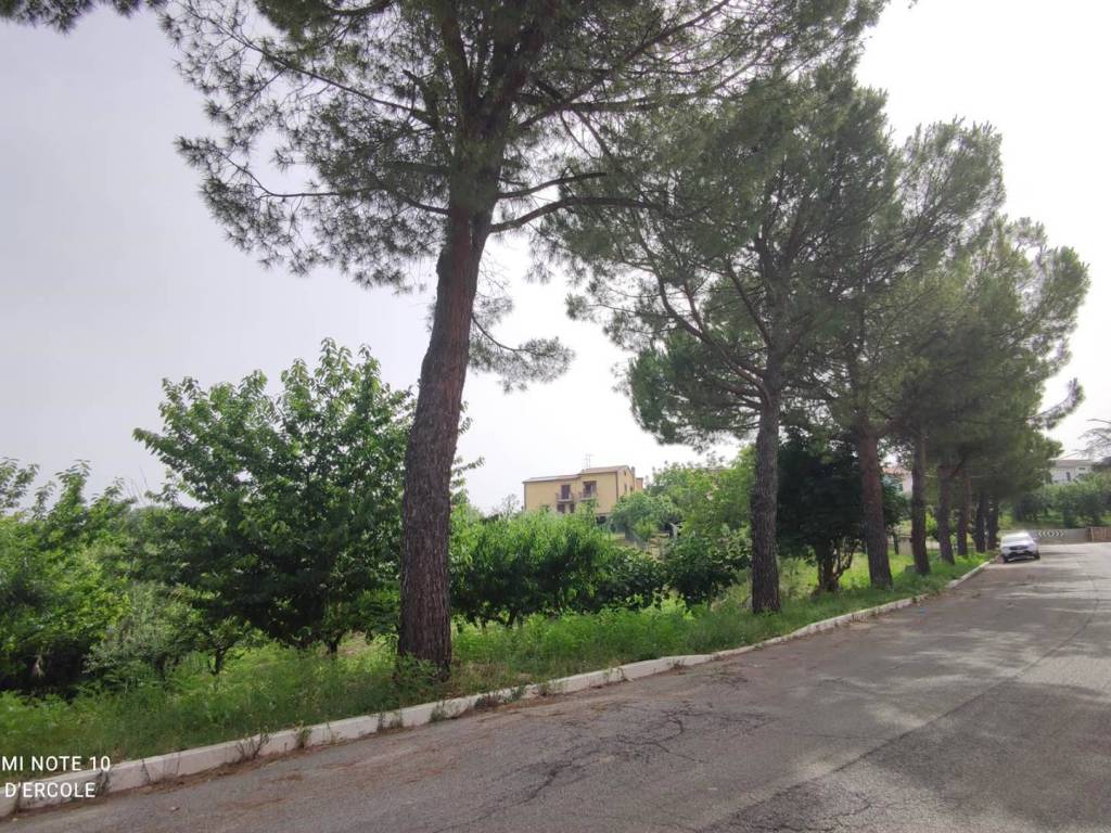 Terreno a Scerni - Foto 2