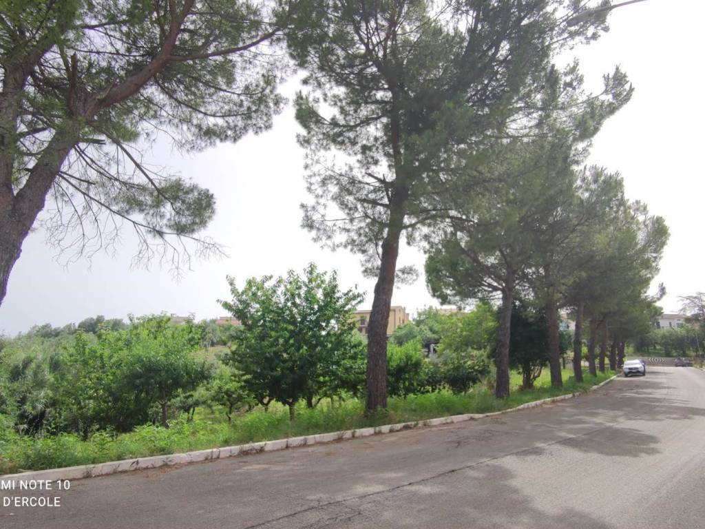 Terreno a Scerni - Foto 3