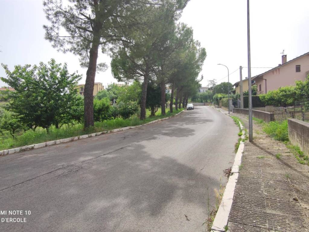 Terreno a Scerni - Foto 4