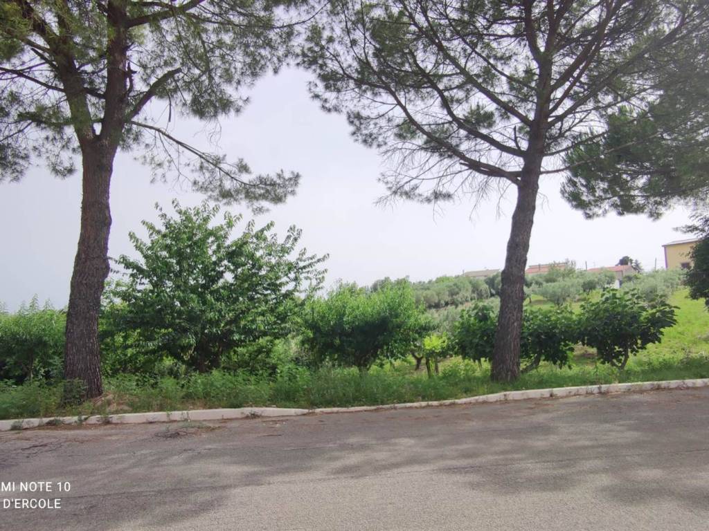 Terreno a Scerni - Foto 5