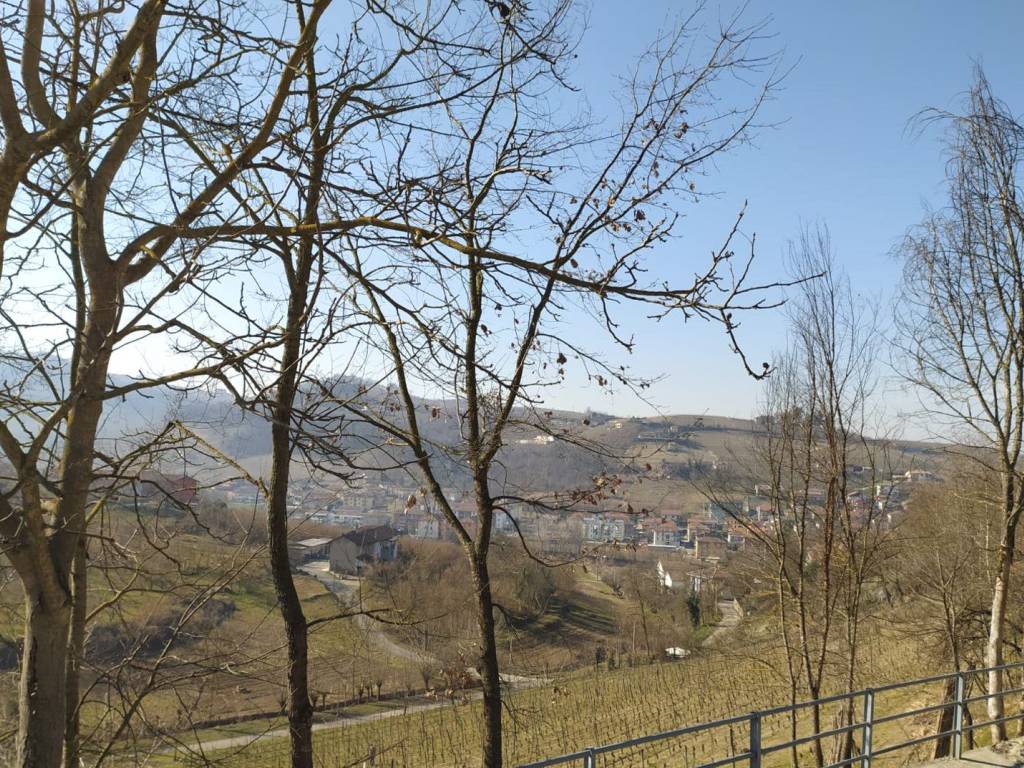 Terreno a Alba in Via Montebellina - Foto 2