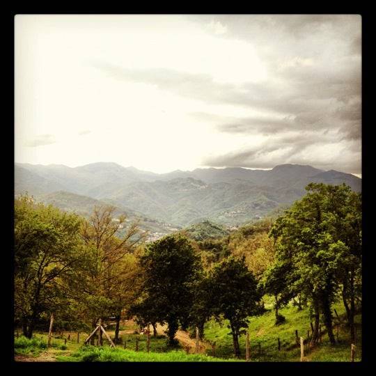 Terreno a Vernio - Foto 4