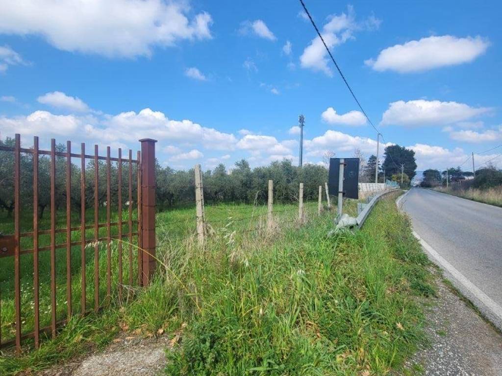 Terreno a Aprilia in Strada Provinciale Ardea-Fontana di Papi, 89 - Foto 3