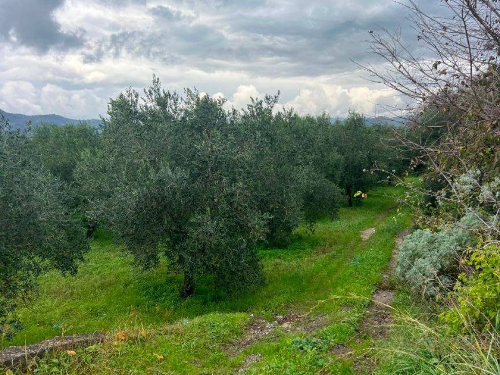 Terreno a Ascea in Via Isacia, 1 - Foto 2