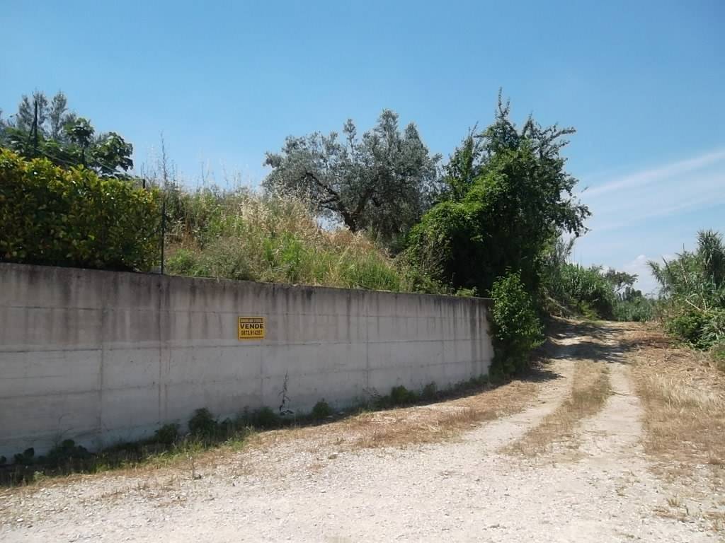 Terreno a Scerni in via San Nicola - Foto 4